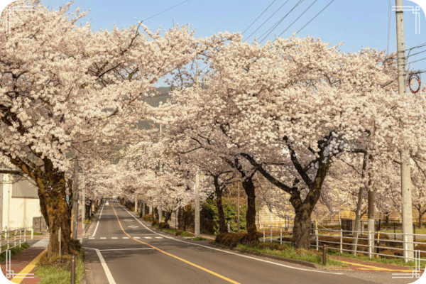 Route Japon