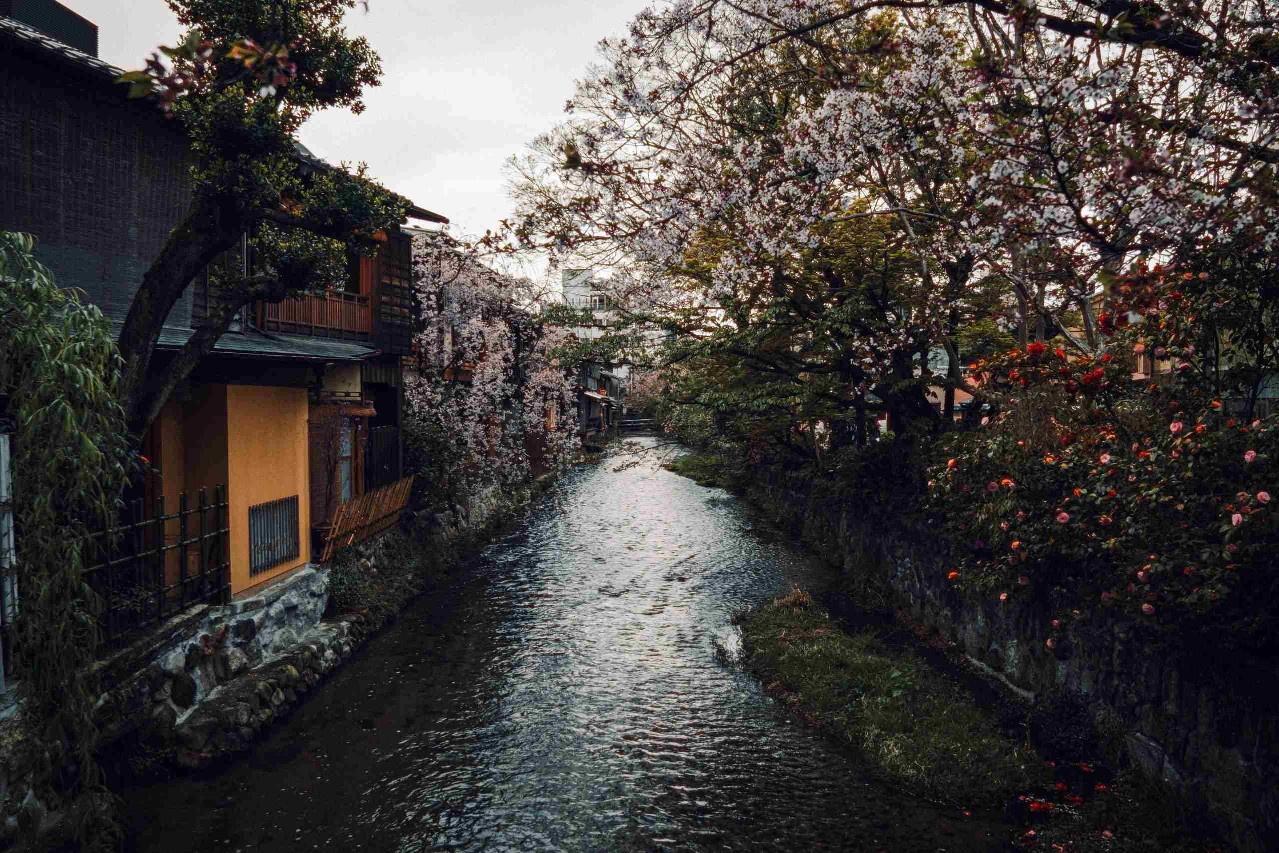 Route Japon